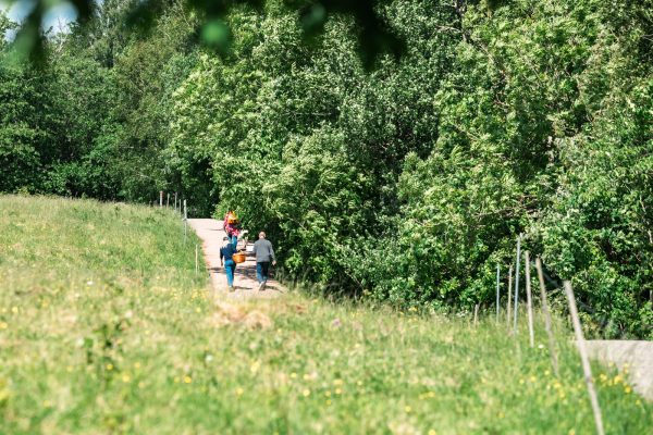 smakprofil-ålleberg-platåbergens_geopark-0056